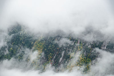 High angle view of trees on mountain against sky