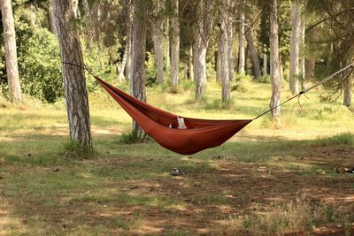 hammock