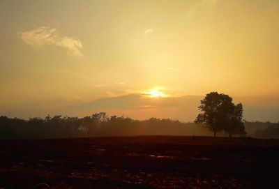 Silhouette trees on field against sky during sunset