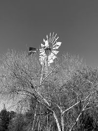 Low angle view of bare tree on field against clear sky