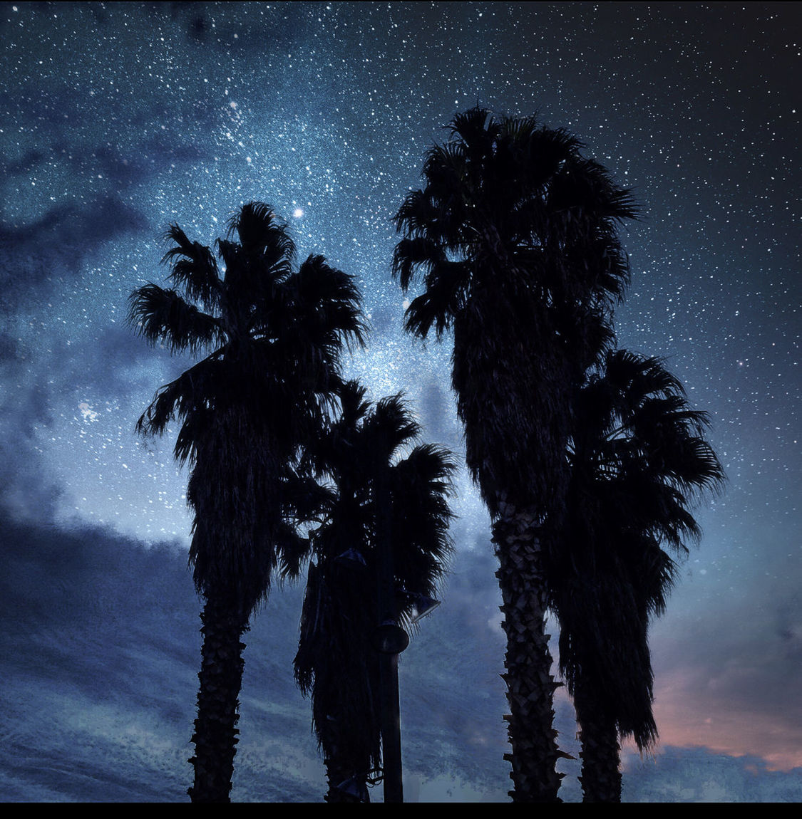 LOW ANGLE VIEW OF SILHOUETTE PALM TREES AGAINST SKY