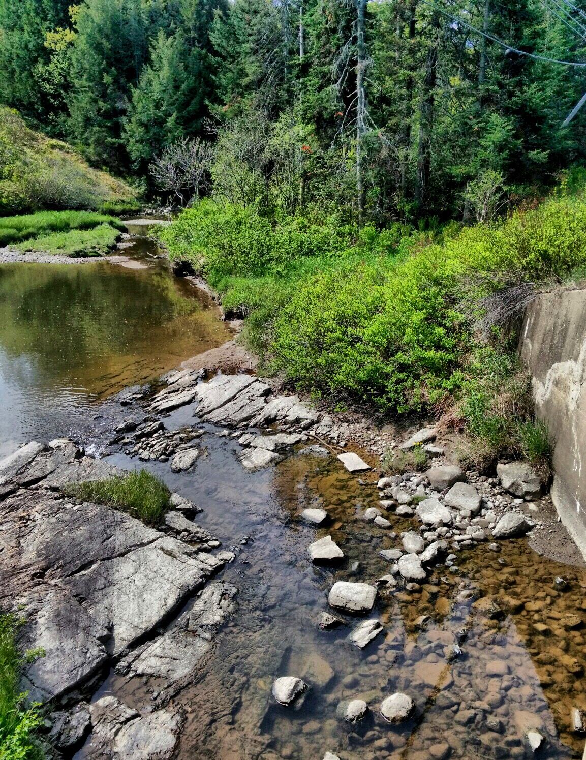 Rocky stream