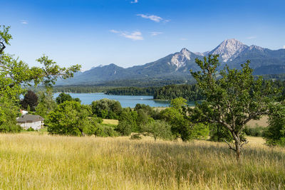 The panoramic view of ossiachersee, carinthia, austria, on a summer day