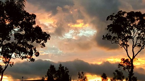 Low angle view of silhouette trees against dramatic sky