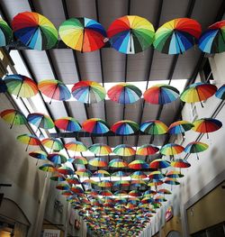 Low angle view of multi colored umbrellas hanging from ceiling