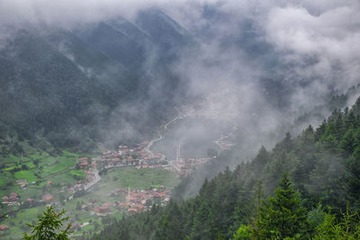 Panoramic view of trees and mountains. uzungol landscape in trabzon.