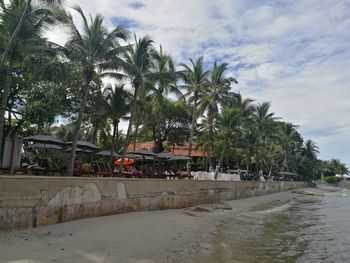 Palm trees on beach against sky