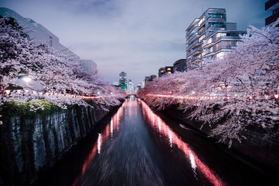 Canal amidst illuminated trees and buildings against sky in city