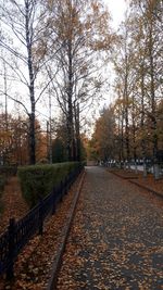 Road amidst leaves in park during autumn