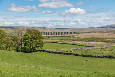 A picturesque landscape in yorkshire dales national park with ribblehead viaduct in the distance