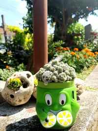 Close-up of potted plant