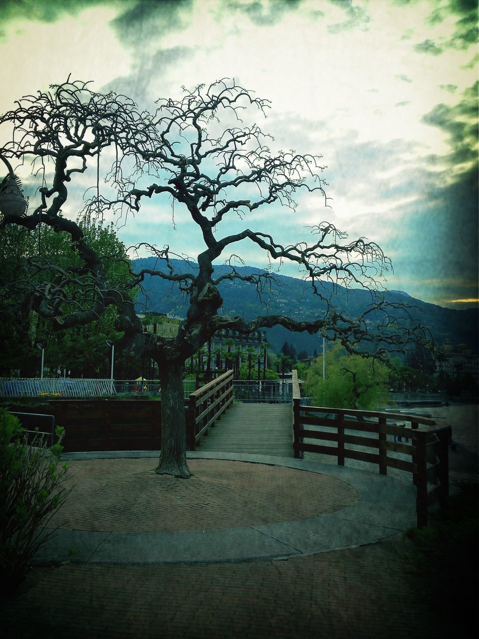 tree, sky, bare tree, cloud - sky, tranquility, branch, cloudy, tranquil scene, cloud, nature, railing, bench, fence, landscape, scenics, built structure, beauty in nature, day, no people, outdoors