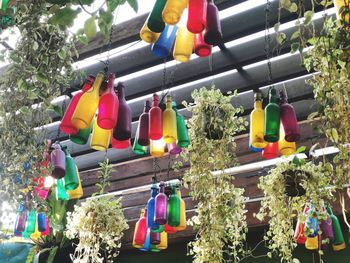 Low angle view of various toys hanging on plant