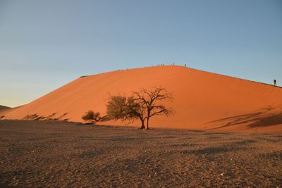 Scenic view of desert against clear sky