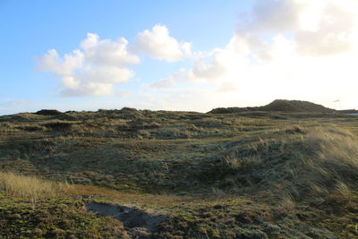 Scenic view of field against sky