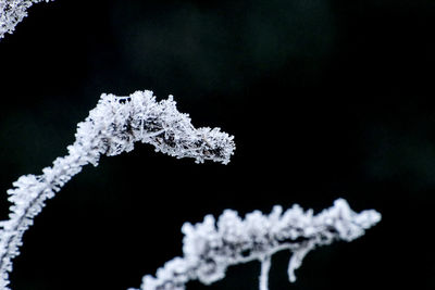 Close-up of snow on water against sky at night