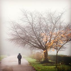 Rear view of people walking on footpath