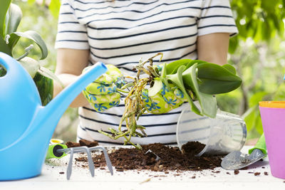 Midsection of woman holding potted plant