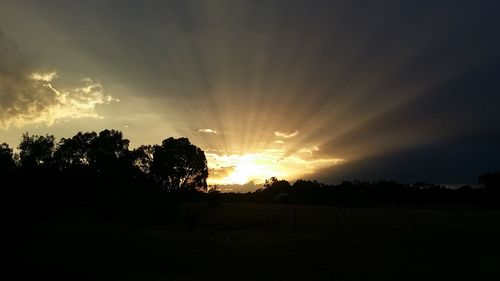 Silhouette of trees on landscape at sunset