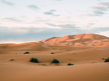 Scenic view of desert against sky