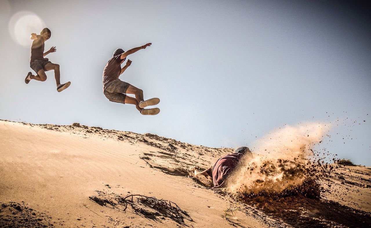 sand, animal themes, animals in the wild, flying, sky, bird, beach, mid-air, built structure, wildlife, day, outdoors, architecture, building exterior, low angle view, no people, nature, full length, desert, art and craft