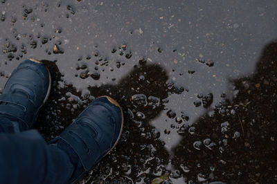 Low section of man standing in water