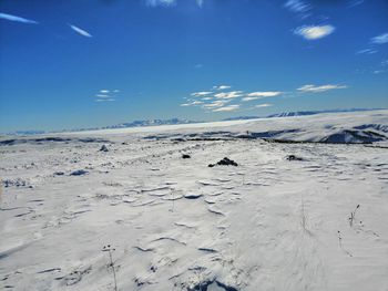 Scenic view of beach against blue sky