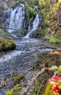 Scenic view of waterfall in forest