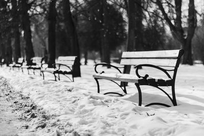 Empty chairs on landscape during winter