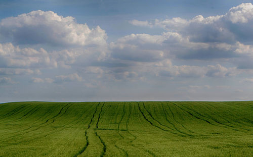 Scenic view of agricultural field against sky