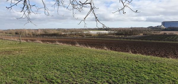 Scenic view of field against sky