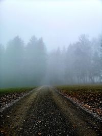 View of dirt road on foggy day