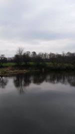 Reflection of trees in calm lake