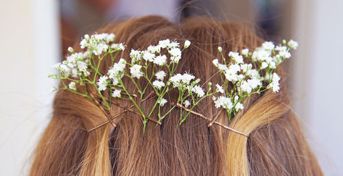 Close-up of flowers