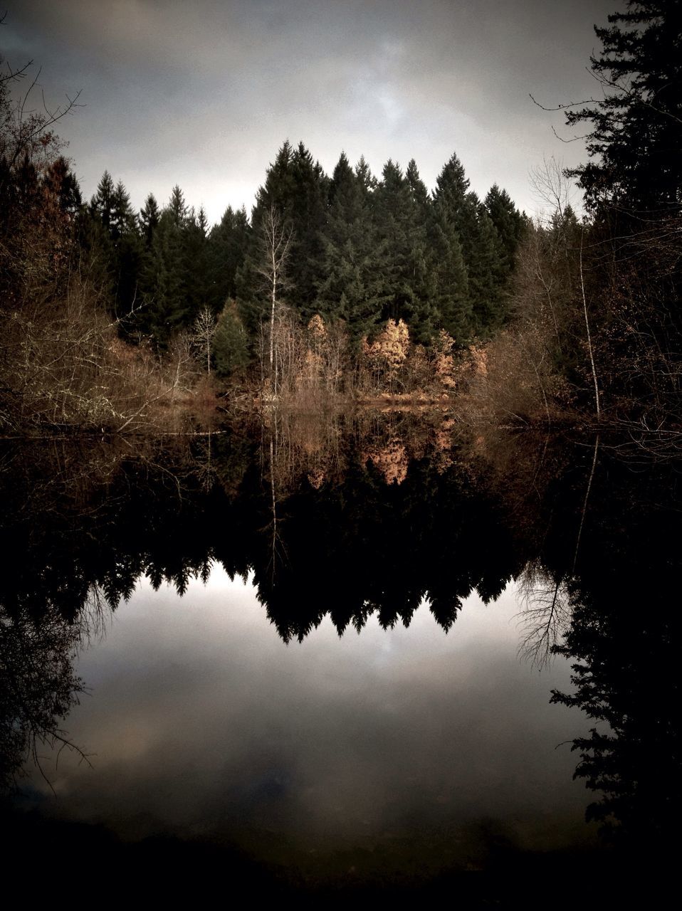 reflection, water, tranquility, tranquil scene, lake, tree, scenics, standing water, sky, beauty in nature, nature, waterfront, idyllic, calm, non-urban scene, outdoors, day, no people, river, growth