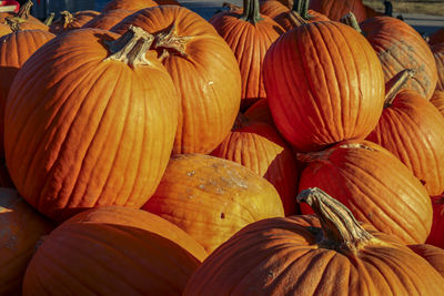 Close-up of pumpkins for sale at market stall