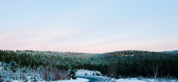 Trees on field against sky during winter