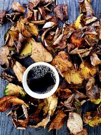 High angle view of dried leaves on field
