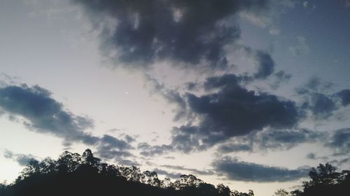 Low angle view of trees against cloudy sky