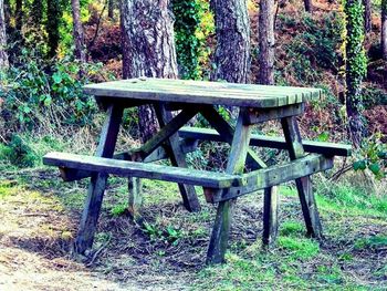 Empty bench in forest