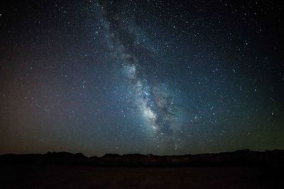 Low angle view of trees against sky at night