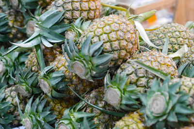 Close-up of pineapple