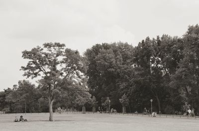 Trees in park against sky