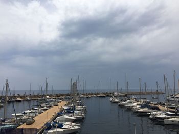 Sailboats moored at harbor against sky