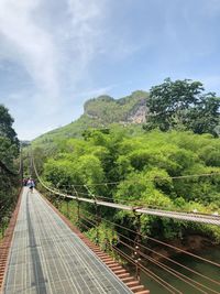 Road amidst trees and plants against sky