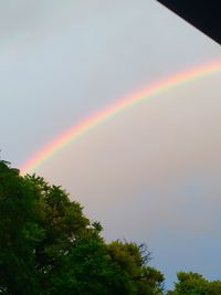 Low angle view of rainbow over trees against sky