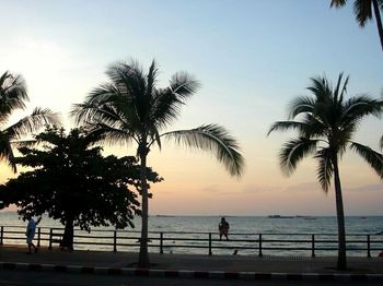 Palm trees on beach