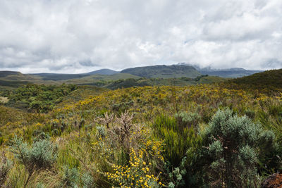 Scenic mountain landscapes against sky in chogoria route, mount kenya national park, kenya