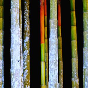 Full frame shot of bamboo structure