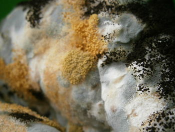 High angle view of sand on beach